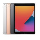 Ipad (8Th Generation) Wifi + Cellular