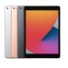 Ipad (8Th Generation) Wifi + Cellular